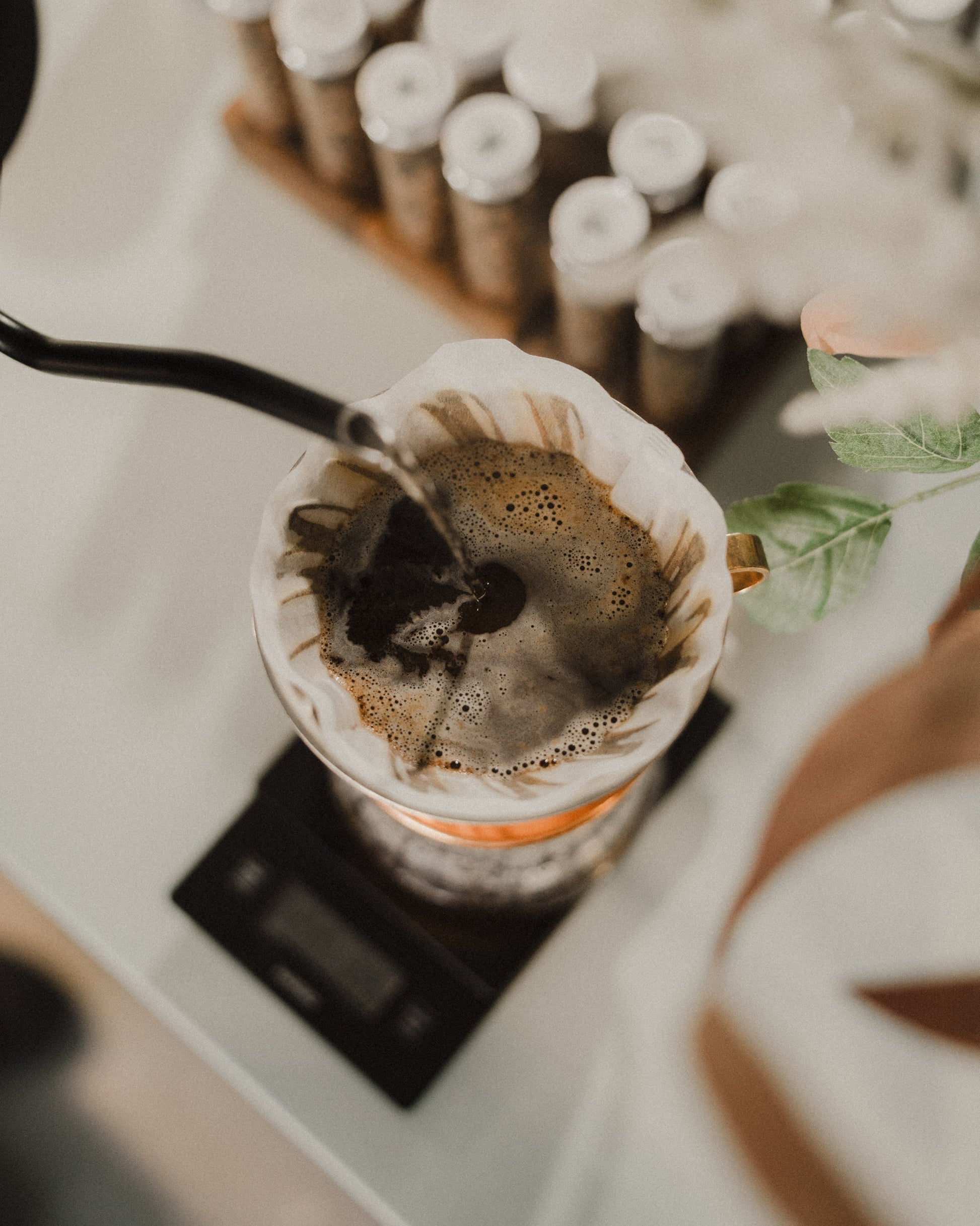 Pour Over Brew Guide