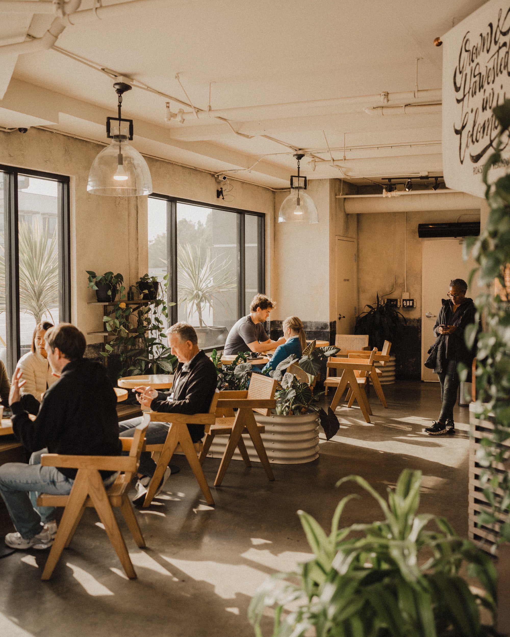 The White Store – The Boy & The Bear - Coffee Roastery