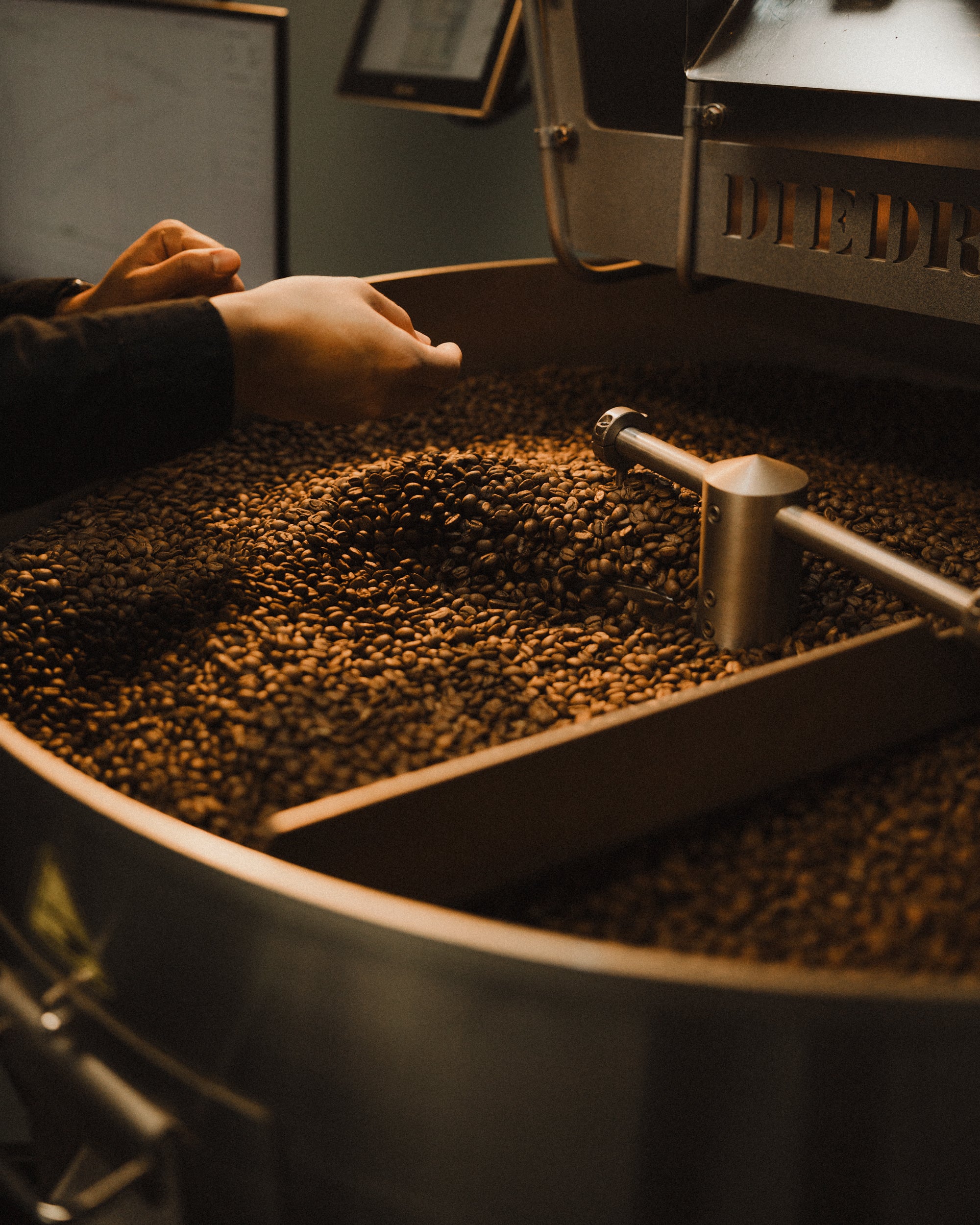 Black Series – The Boy & The Bear - Coffee Roastery